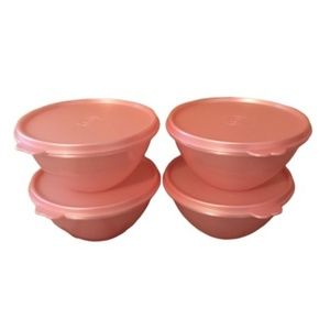 Tupperware Starlight Mini Wonderlier Bowl Set of 4